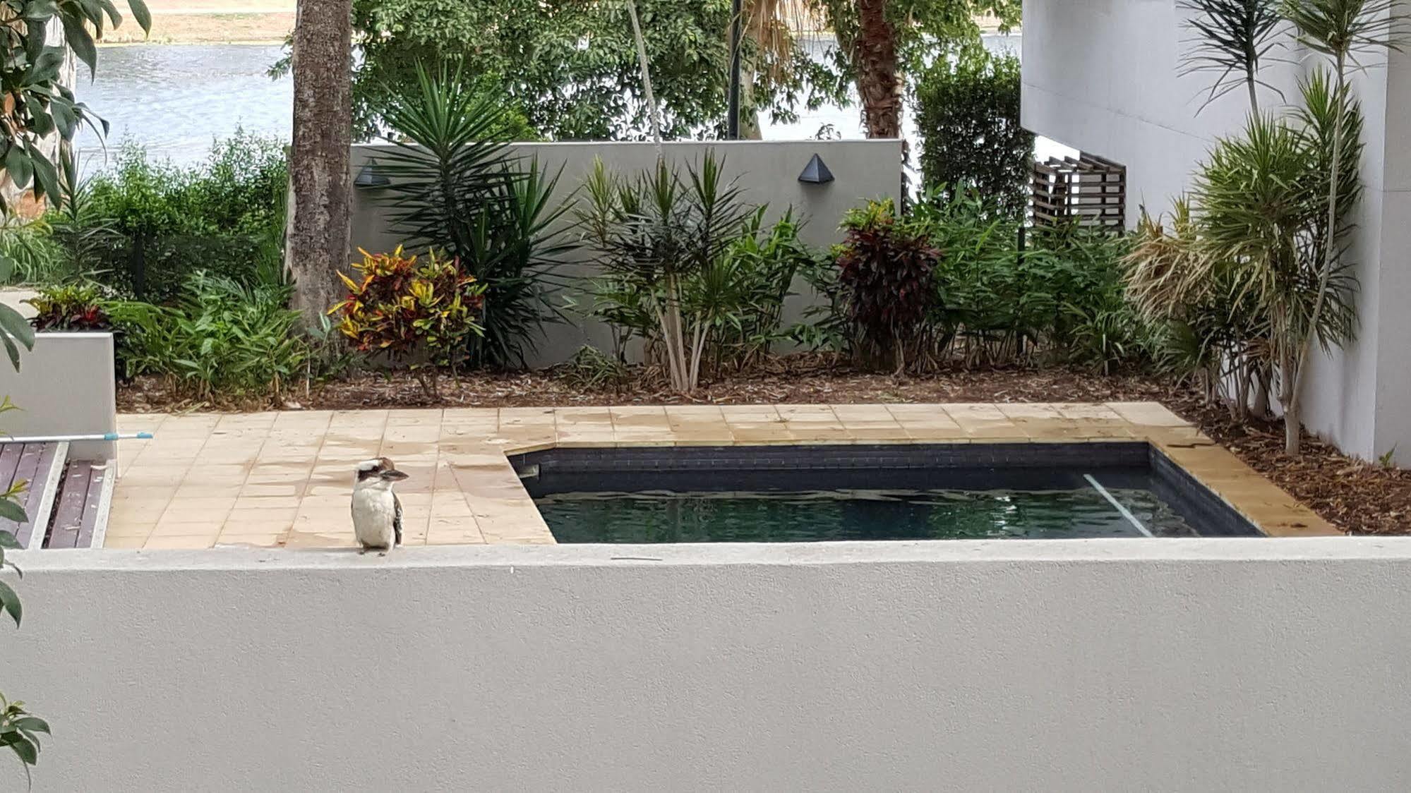 Jacana Apartments Townsville Bagian luar foto